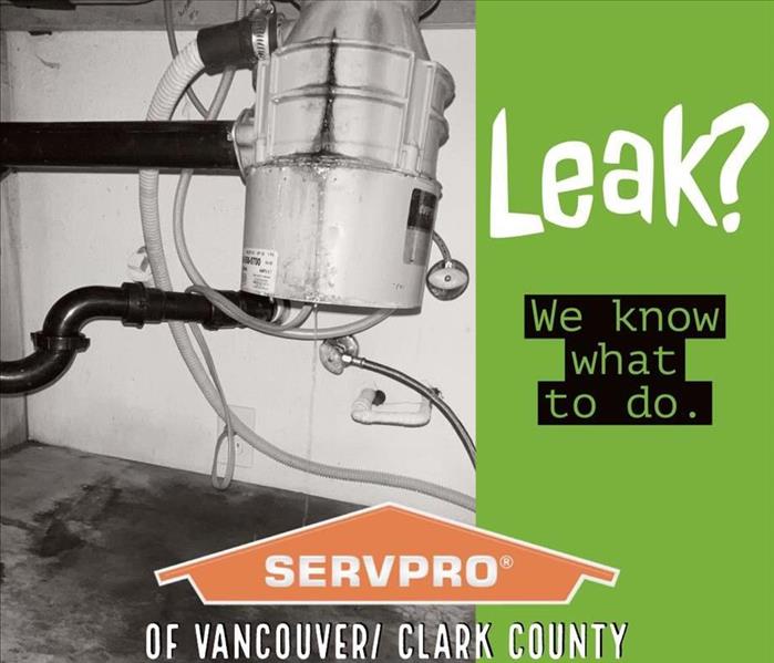"Leak?" graphic with franchise info and picture of kitchen sink leak